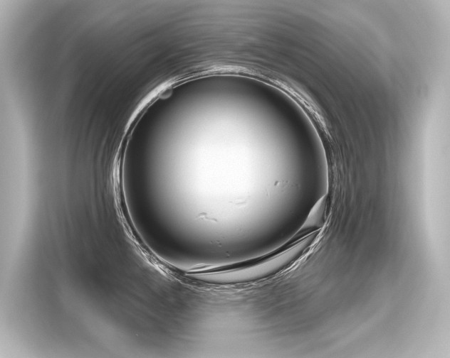 X0000116161198200911301555