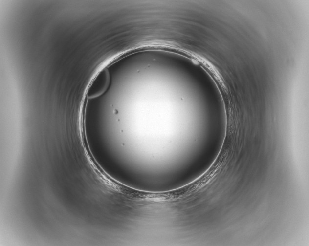 X0000116161199200911301555