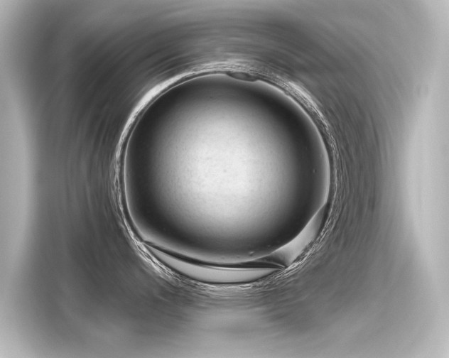 X0000116161200200911301555