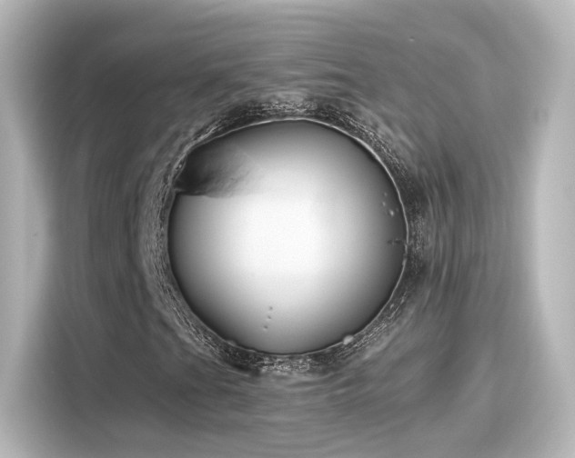 X0000116161201200911301554