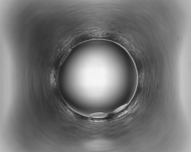 X0000116161202200911301554