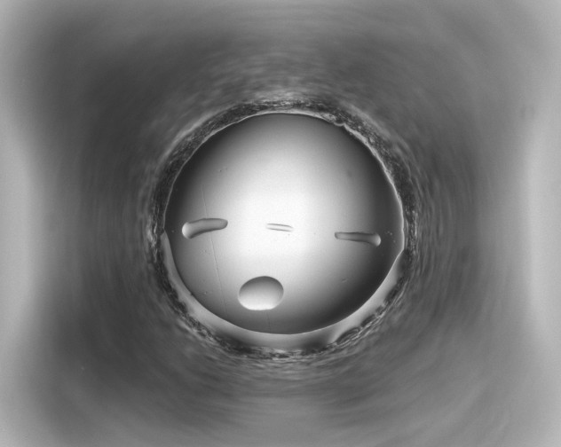 X0000116161206200911301554