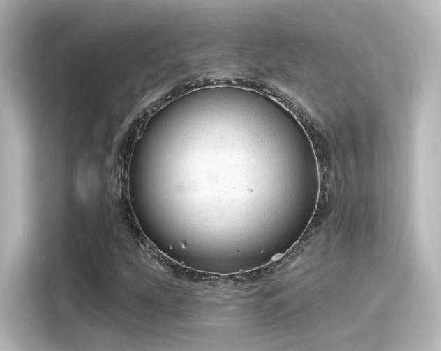 X0000116161207200911301554