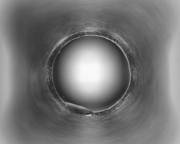 X0000116161208200911301554