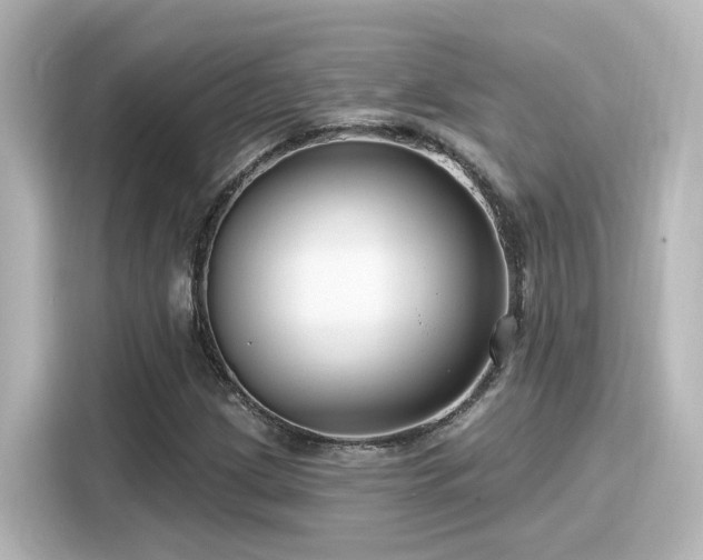 X0000116161209200911301554