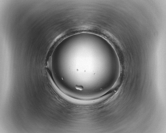 X0000116161210200911301554