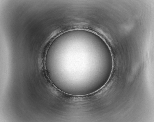 X0000116161211200911301554