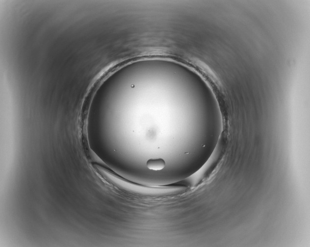 X0000116161212200911301554