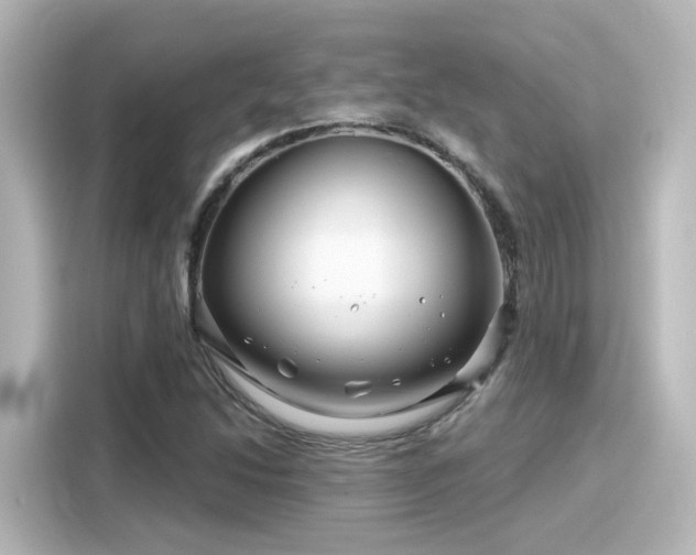 X0000116161214200911301554