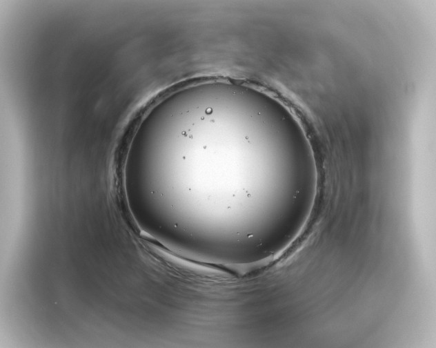 X0000116161215200911301554