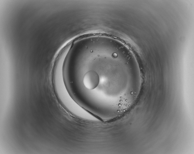 X0000116161216200911301554