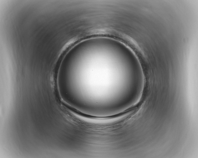 X0000116161218200911301554