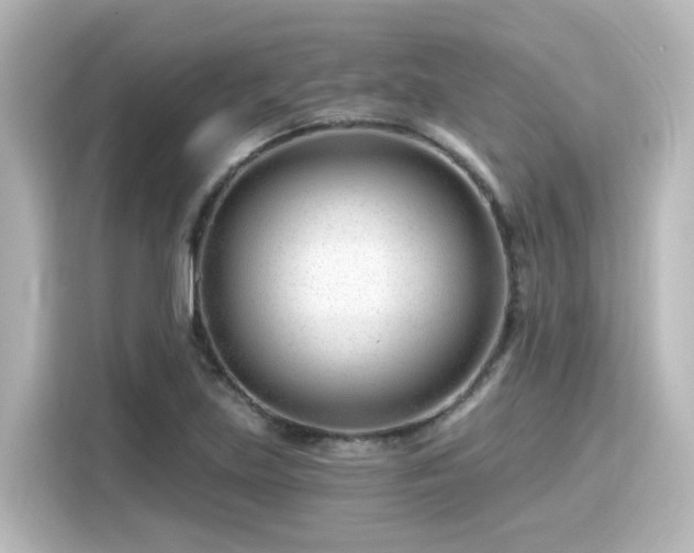 X0000116161219200911301554