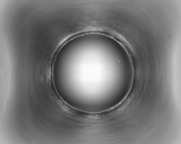 X0000116161220200911301554