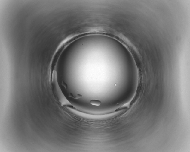 X0000116161222200911301554