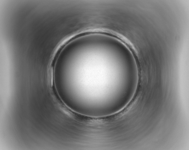 X0000116161223200911301554