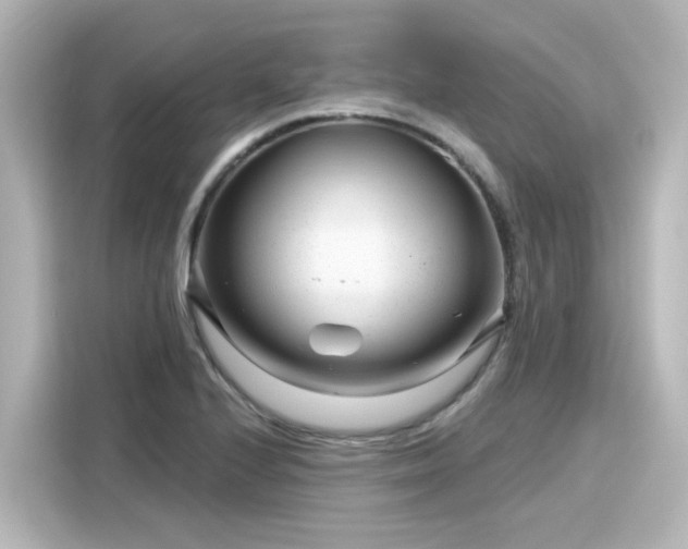 X0000116161224200911301554