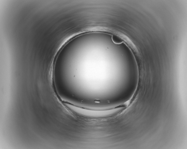 X0000116161228200911301554