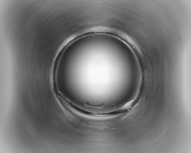 X0000116161229200911301554