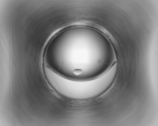 X0000116161232200911301554