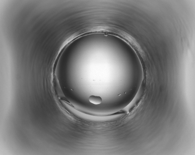 X0000116161234200911301554