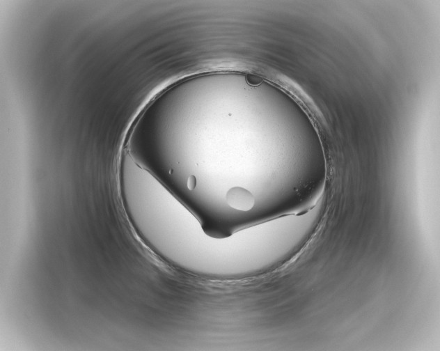 X0000116161236200911301554