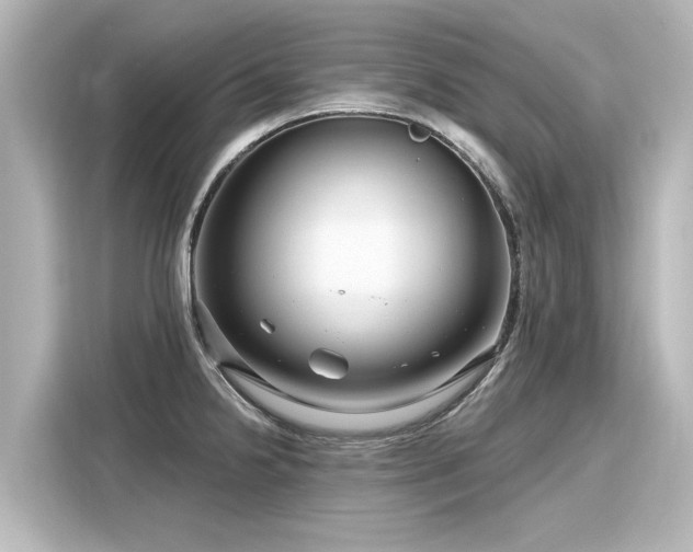 X0000116161238200911301554