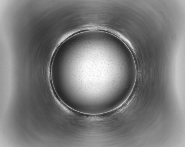 X0000116161239200911301554