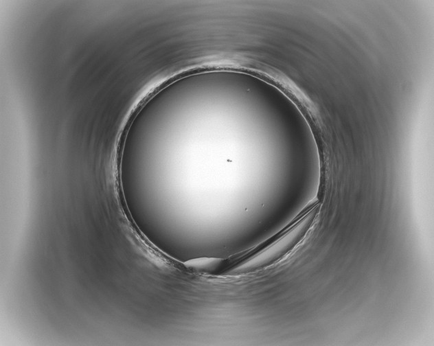 X0000116161240200911301554