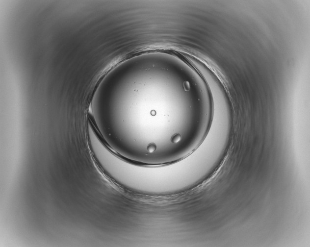 X0000116161241200911301555