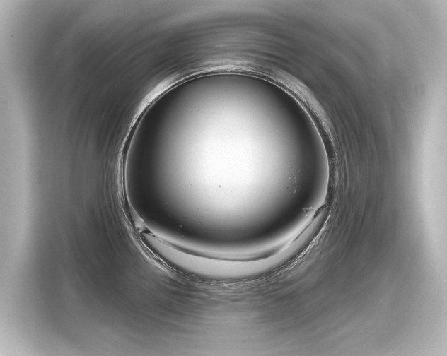 X0000116161242200911301555