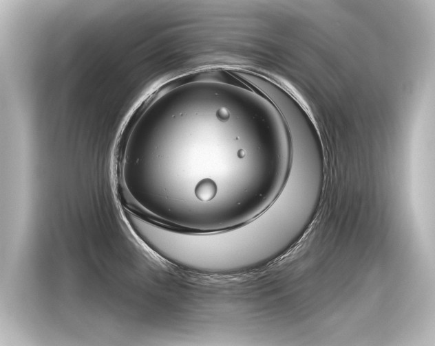 X0000116161243200911301555