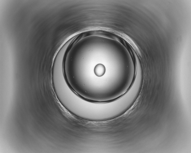 X0000116161244200911301555