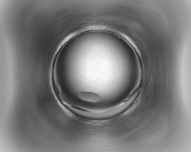 X0000116161245200911301555