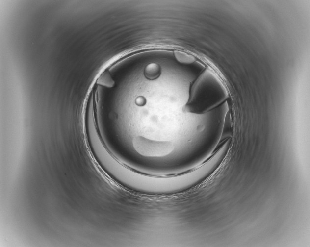 X0000116161246200911301555