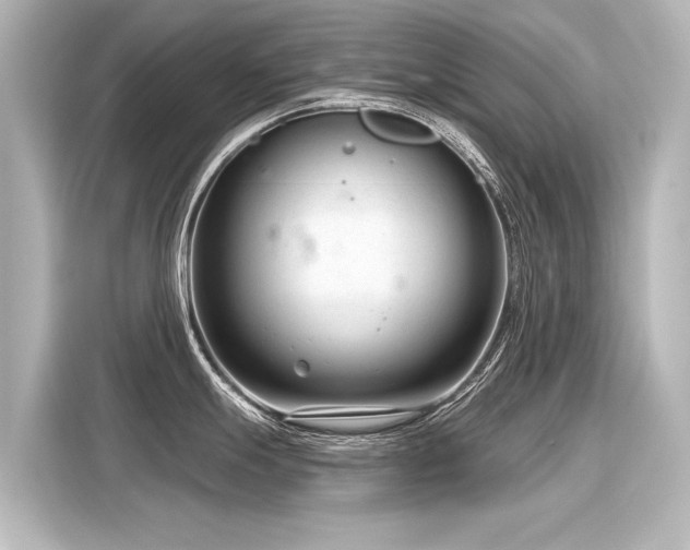 X0000116161247200911301555