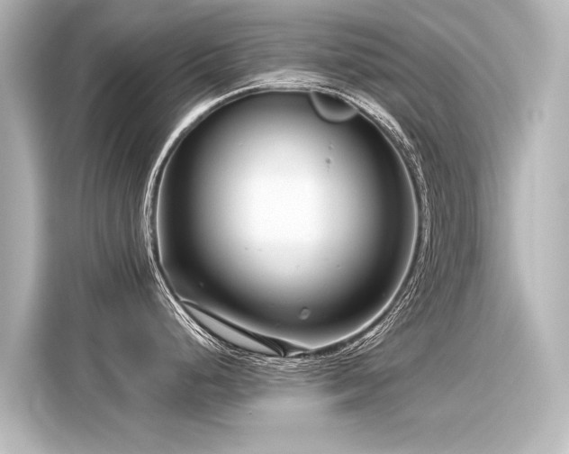 X0000116161248200911301555