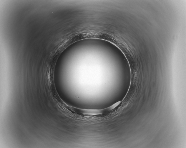 X0000116161250200911301554