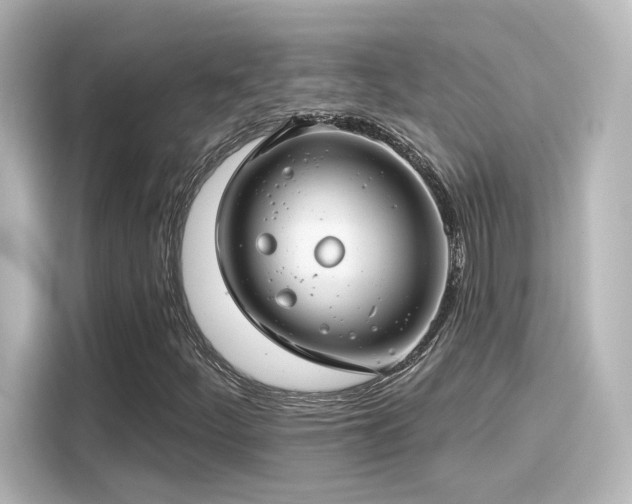 X0000116161252200911301554