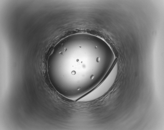 X0000116161253200911301554