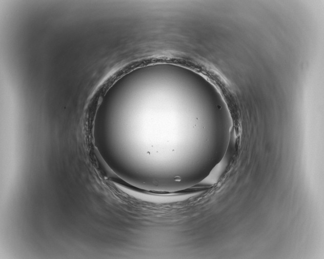 X0000116161256200911301554