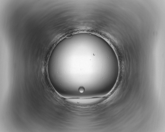 X0000116161257200911301554