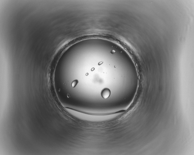 X0000116161259200911301554