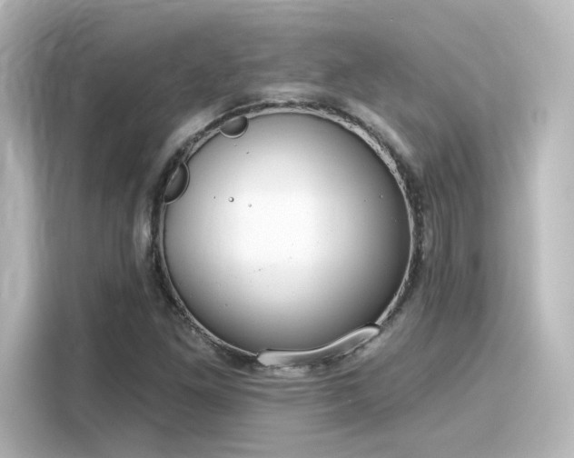 X0000116161261200911301554