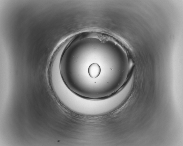 X0000116161264200911301554