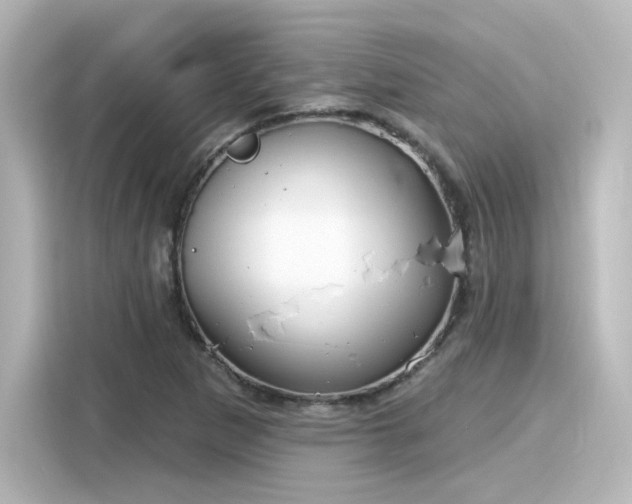 X0000116161265200911301554