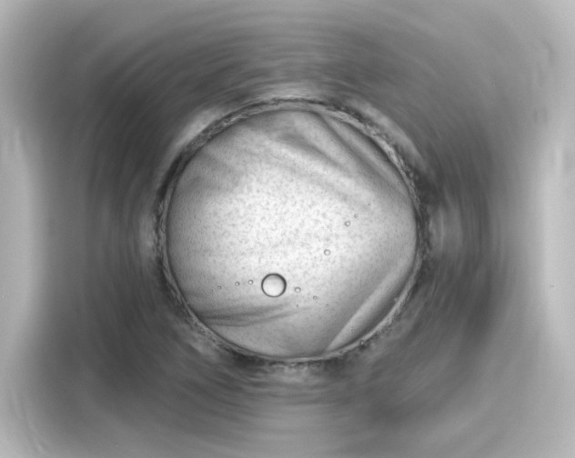 X0000116161266200911301554