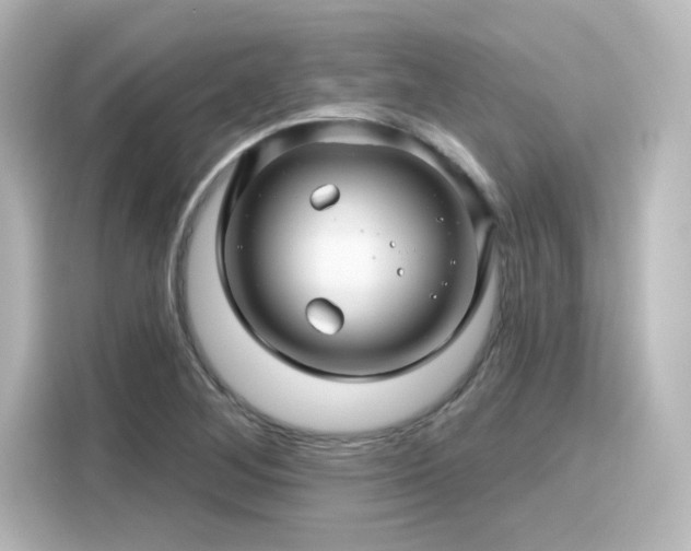 X0000116161268200911301554