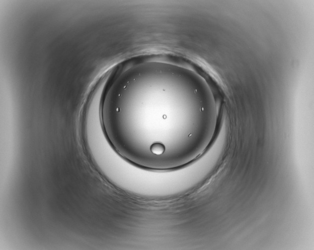 X0000116161269200911301554