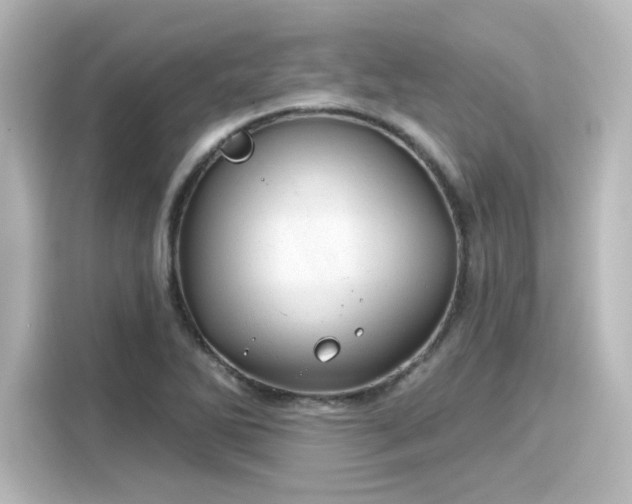 X0000116161270200911301554